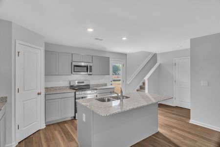 Rivertown Landing by Dream Finders Homes in Conway - image 15