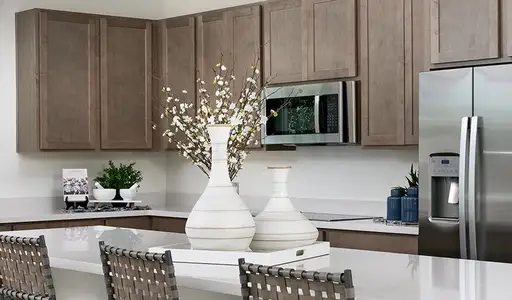 Tanterra by Richmond American Homes in Parker - image 4