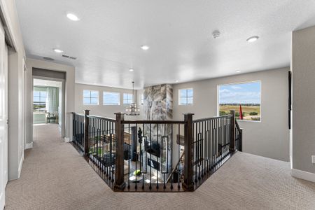 Macanta City Collection by Taylor Morrison in Castle Rock - photo 97 97