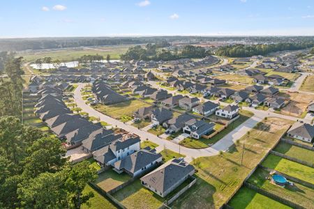 Moran Ranch by M/I Homes in Willis - image 12