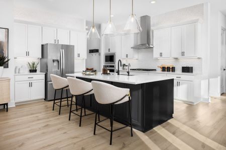 The Grove at Blackhawk by Coventry Homes in Pflugerville - image 8