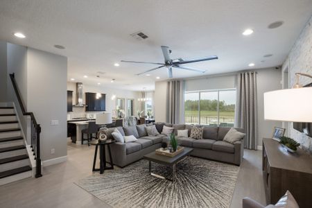 Palms at Windermere by Dream Finders Homes in Windermere - photo 7 7