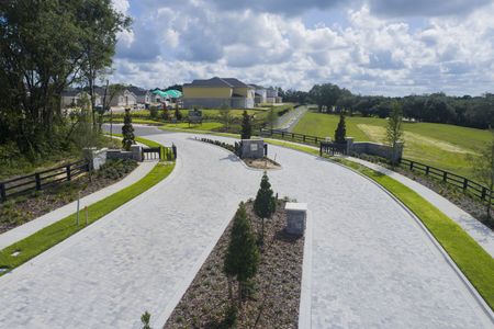 Wolf Lake Ranch by M/I Homes in Apopka - photo 9 9