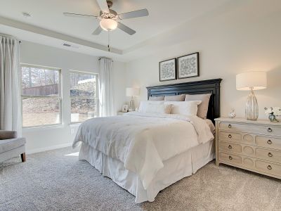 Vistas at Towne Mill by Meritage Homes in Canton - photo 12 12