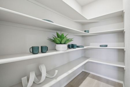 Bloom Trailblazer Collection - Single Family Homes 33
