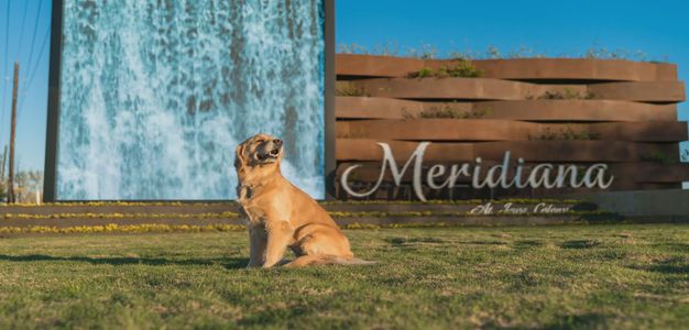 Meridiana 50's and 60's by Chesmar Homes in Manvel - image