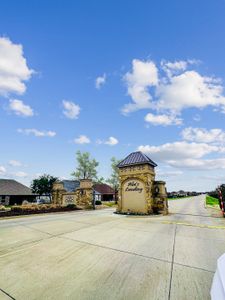 Abe's Landing by Bloomfield Homes in Granbury - photo 2 2