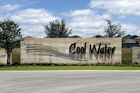 Cool Water by M/I Homes in Jarrell - photo 3 3