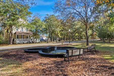 Harmony Township by Hunter Quinn Homes in Georgetown - photo 10 10