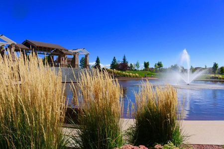 Highline at Wolf Ranch by David Weekley Homes in Colorado Springs - image
