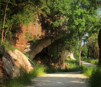 Arbor Collection At Wolf Ranch 16