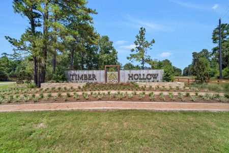 Timber Hollow by Beazer Homes in Magnolia - image