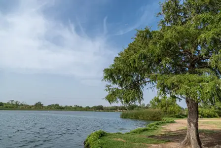 Lonesome Dove by Lennar in San Antonio - photo 2 2