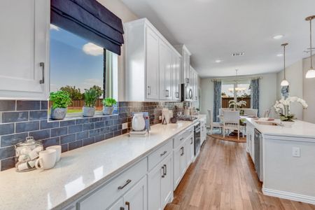 Light Farms by American Legend Homes in Celina - photo 24 24