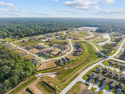 Pinewood at Grand Texas by M/I Homes in New Caney - photo 5 5