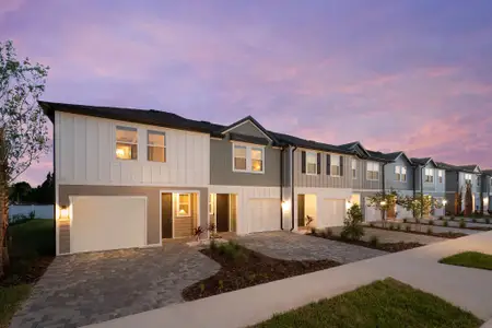 Montague Chase by Ashton Woods in Tampa - image