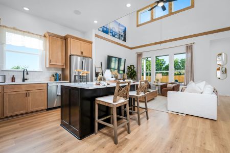 Estancia West by M/I Homes in Manchaca - image 4