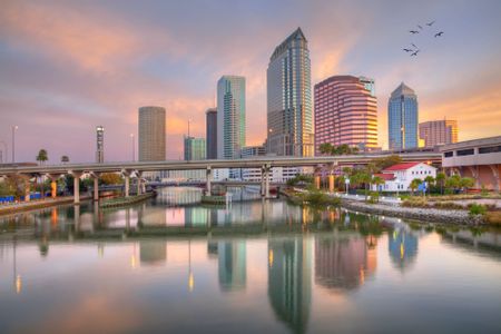 South Tampa - Urban Collection by David Weekley Homes in Tampa - photo 9 9