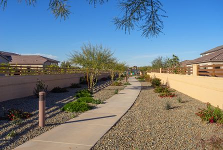 Tierra at Legado West by David Weekley Homes in Queen Creek - image 18