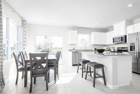 Seminole Palms Townhomes by Ryan Homes in Palm Coast - image 3