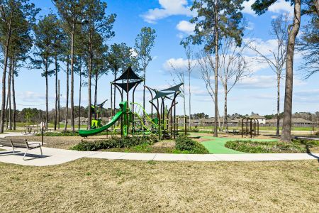 Pinewood at Grand Texas by M/I Homes in New Caney - photo 39 39