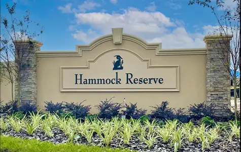 Hammock Reserve by Maronda Homes in Haines City - image