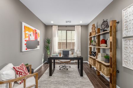 La Mira Discovery Collection 8