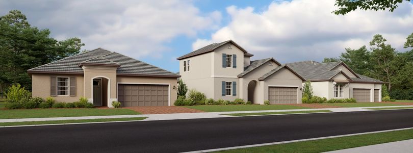 Angeline Active Adult: Active Adult Manors by Lennar in Land O' Lakes - photo 8 8