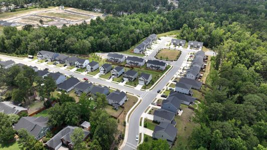 Forrest Bluff by Ivey Homes in North Augusta - image 10