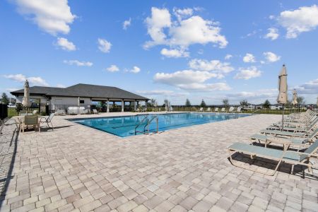 Hilltop Point by M/I Homes in Dade City - photo 61 61