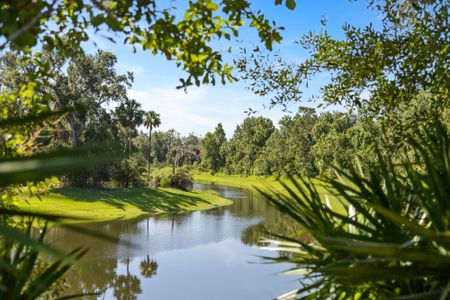 Hickory Grove by Mattamy Homes in Winter Springs - photo 3 3