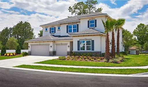 Bongard Estates by Richmond American Homes in Clermont - image