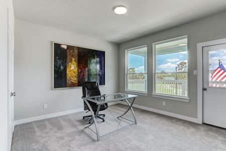 Peacock Isle by Bayway Homes in Dickinson - photo 31 31