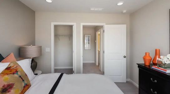 Carolina Springs: Designer 6