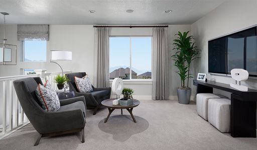 Creekside Village by Richmond American Homes in Thornton - photo 14 14