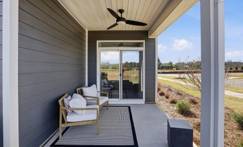 Blythe Mill Townhomes by Eastwood Homes in Waxhaw - image 5