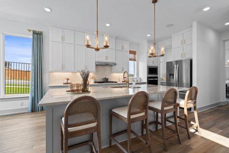 Palmera Ridge by Coventry Homes in Leander - image 9