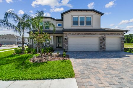 K-Bar Ranch Gilded Woods by M/I Homes in Tampa - photo 20 20