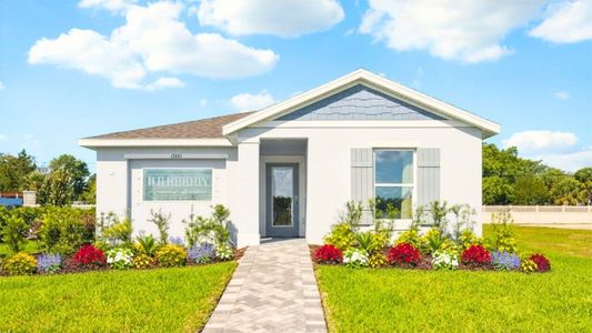 Brighton Park by D.R. Horton in Hudson - image