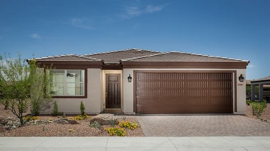 CantaMia at Estrella 55+ by Taylor Morrison in Goodyear - photo 10 10