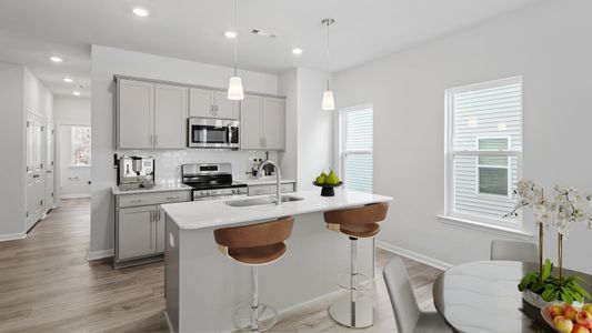 Lakeview Village by Mungo Homes in Charlotte - photo 2 2