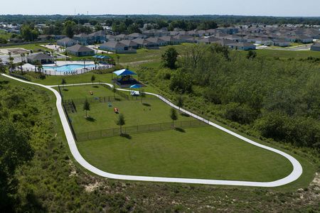 Hammock Reserve by Casa Fresca Homes in Haines City - photo 5 5