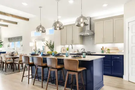 Willow Grove Single-Family Homes by Grenadier Homes in Melissa - image 6