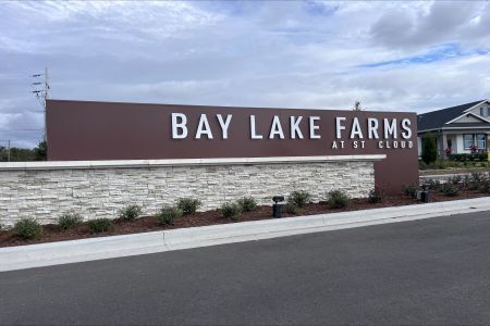 Bay Lake Farms by M/I Homes in St. Cloud - photo 50 50