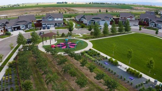 The Fairways at RainDance by Trumark Homes in Windsor - photo 1 1