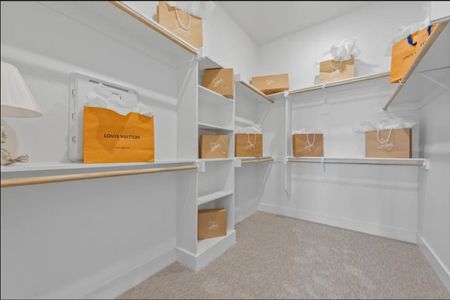 Royal Court by Monarch Homes in Frisco - image 17