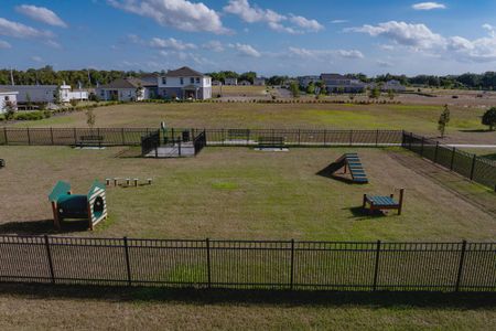 Trinity Place by Trinity Family Builders in Saint Cloud - photo 7 7