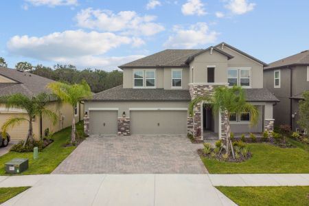 Hawthorne Ranch by M/I Homes in Lakeland - photo 14 14