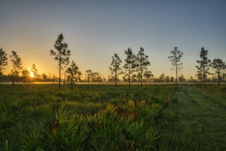 Luxe202 by Mattamy Homes in Jacksonville - image