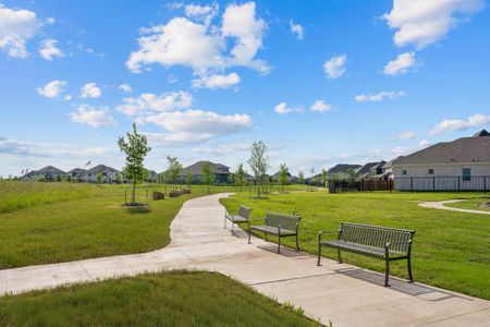 Ten Mile Creek by American Legend Homes in Celina - image 14
